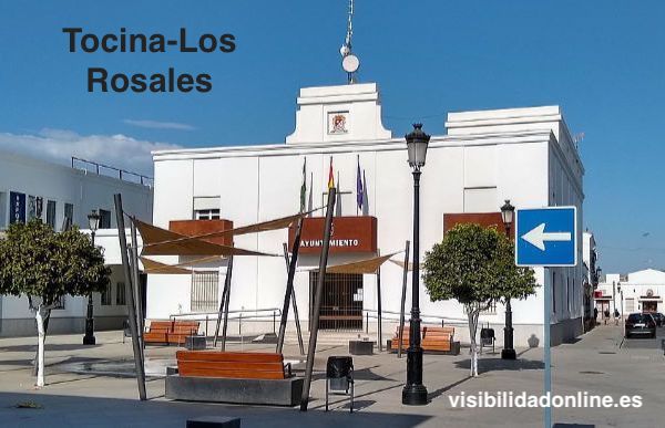 Diseñamos tu web para Tocina-Los Rosales