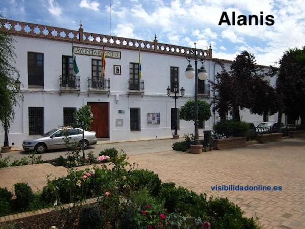 Diseñamos tu página web para Alanís
